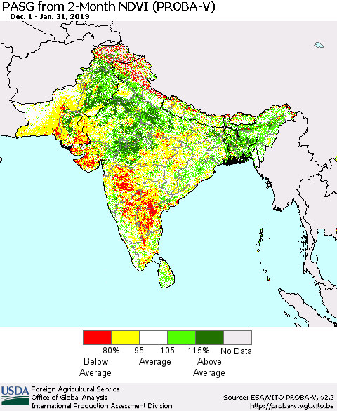 Southern Asia PASG from 2-Month NDVI (PROBA-V) Thematic Map For 1/21/2019 - 1/31/2019