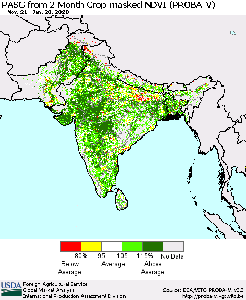 Southern Asia PASG from 2-Month Crop-masked NDVI (PROBA-V) Thematic Map For 1/11/2020 - 1/20/2020