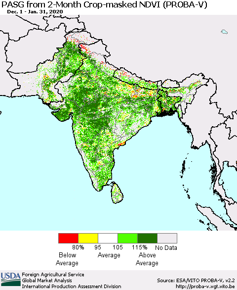 Southern Asia PASG from 2-Month Crop-masked NDVI (PROBA-V) Thematic Map For 1/21/2020 - 1/31/2020