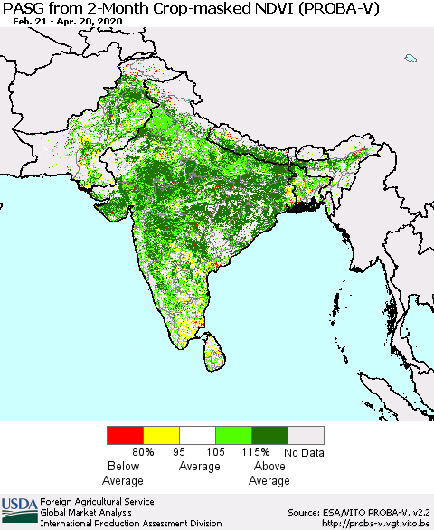 Southern Asia PASG from 2-Month Crop-masked NDVI (PROBA-V) Thematic Map For 4/11/2020 - 4/20/2020