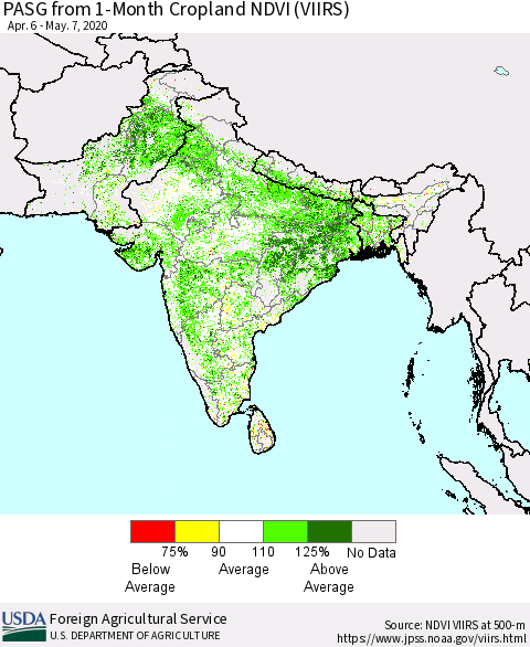 Southern Asia PASG from 1-Month Cropland NDVI (VIIRS) Thematic Map For 5/1/2020 - 5/10/2020