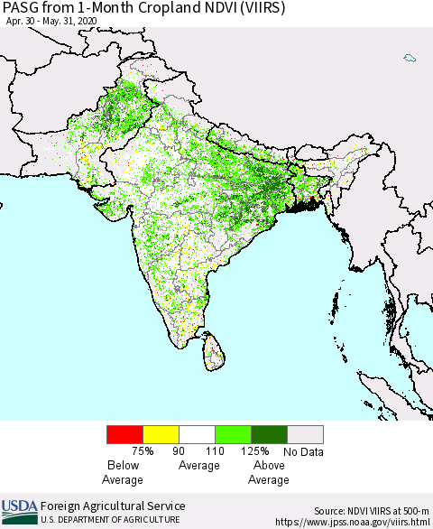 Southern Asia PASG from 1-Month Cropland NDVI (VIIRS) Thematic Map For 5/21/2020 - 5/31/2020