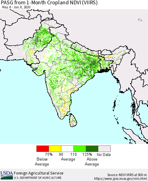 Southern Asia PASG from 1-Month Cropland NDVI (VIIRS) Thematic Map For 6/1/2020 - 6/10/2020