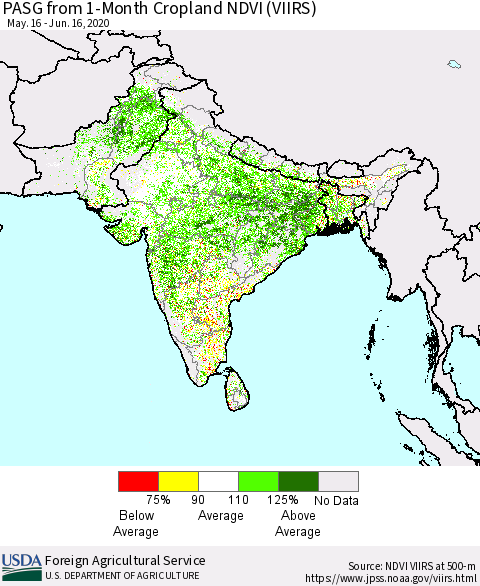 Southern Asia PASG from 1-Month Cropland NDVI (VIIRS) Thematic Map For 6/11/2020 - 6/20/2020