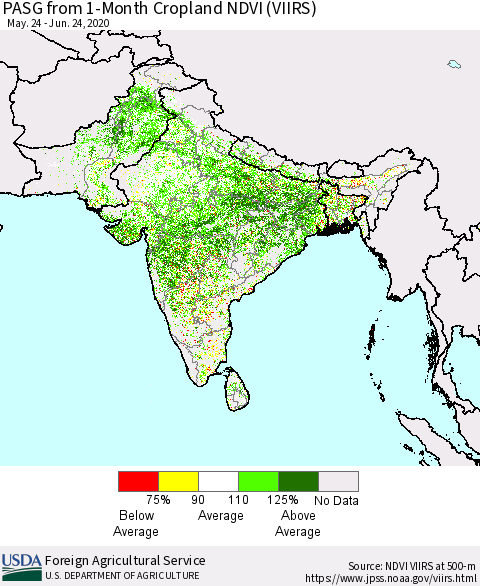 Southern Asia PASG from 1-Month Cropland NDVI (VIIRS) Thematic Map For 6/21/2020 - 6/30/2020