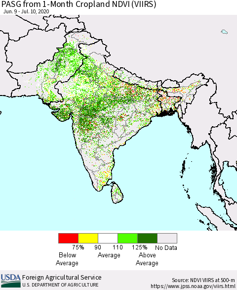 Southern Asia PASG from 1-Month Cropland NDVI (VIIRS) Thematic Map For 7/1/2020 - 7/10/2020
