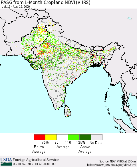Southern Asia PASG from 1-Month Cropland NDVI (VIIRS) Thematic Map For 8/11/2020 - 8/20/2020