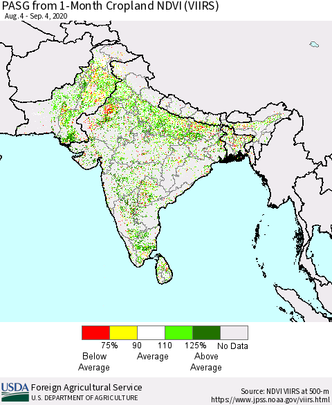 Southern Asia PASG from 1-Month Cropland NDVI (VIIRS) Thematic Map For 9/1/2020 - 9/10/2020