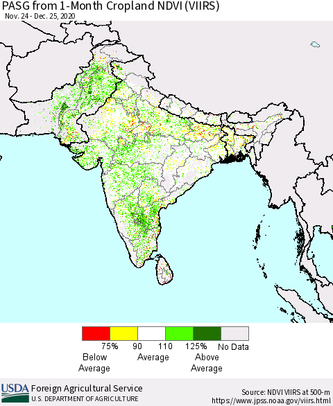 Southern Asia PASG from 1-Month Cropland NDVI (VIIRS) Thematic Map For 12/21/2020 - 12/31/2020