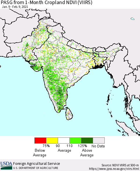 Southern Asia PASG from 1-Month Cropland NDVI (VIIRS) Thematic Map For 2/1/2021 - 2/10/2021