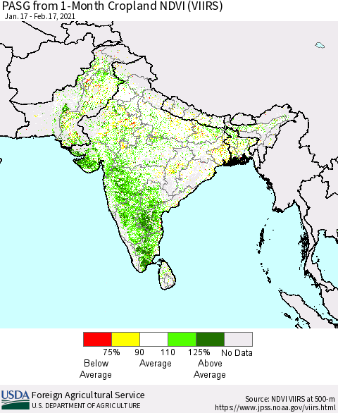 Southern Asia PASG from 1-Month Cropland NDVI (VIIRS) Thematic Map For 2/11/2021 - 2/20/2021