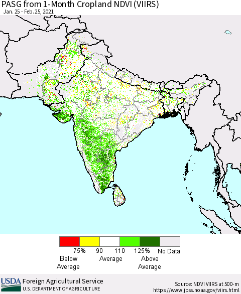 Southern Asia PASG from 1-Month Cropland NDVI (VIIRS) Thematic Map For 2/21/2021 - 2/28/2021