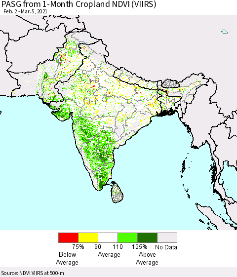 Southern Asia PASG from 1-Month Cropland NDVI (VIIRS) Thematic Map For 2/26/2021 - 3/5/2021