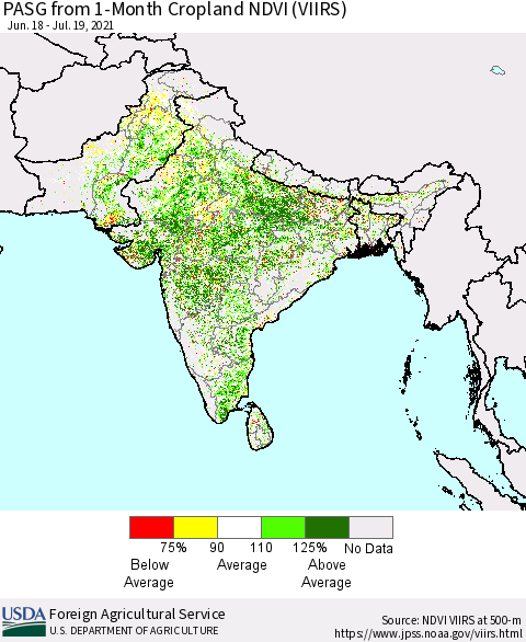 Southern Asia PASG from 1-Month Cropland NDVI (VIIRS) Thematic Map For 7/11/2021 - 7/20/2021