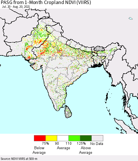 Southern Asia PASG from 1-Month Cropland NDVI (VIIRS) Thematic Map For 8/11/2021 - 8/20/2021