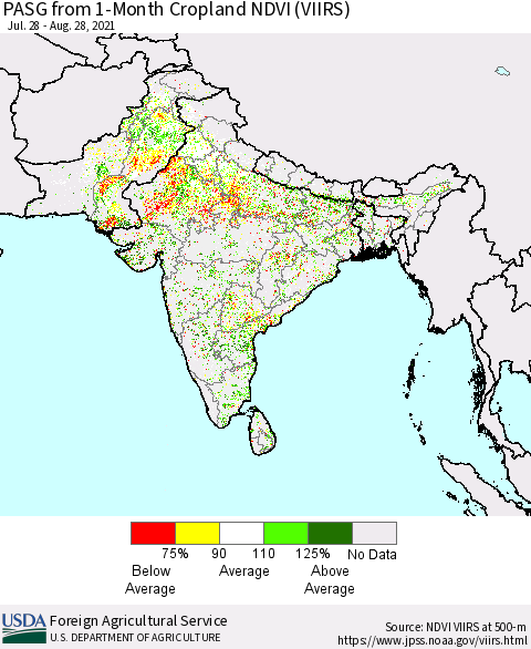 Southern Asia PASG from 1-Month Cropland NDVI (VIIRS) Thematic Map For 8/21/2021 - 8/31/2021