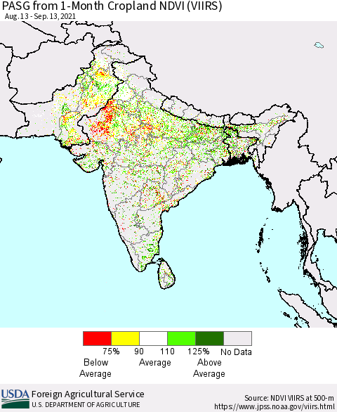Southern Asia PASG from 1-Month Cropland NDVI (VIIRS) Thematic Map For 9/11/2021 - 9/20/2021