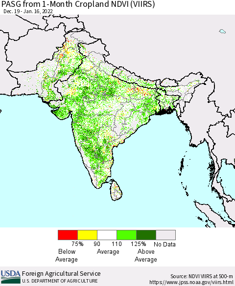 Southern Asia PASG from 1-Month Cropland NDVI (VIIRS) Thematic Map For 1/11/2022 - 1/20/2022