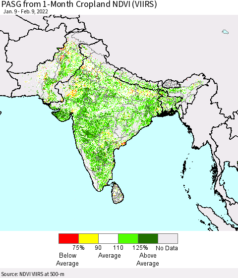 Southern Asia PASG from 1-Month Cropland NDVI (VIIRS) Thematic Map For 2/2/2022 - 2/9/2022