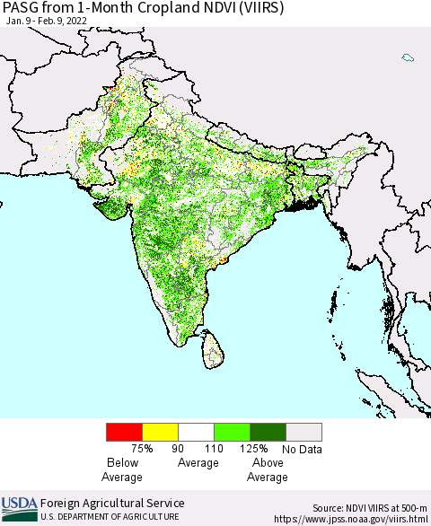 Southern Asia PASG from 1-Month Cropland NDVI (VIIRS) Thematic Map For 2/1/2022 - 2/10/2022