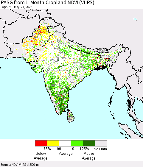 Southern Asia PASG from 1-Month Cropland NDVI (VIIRS) Thematic Map For 5/17/2022 - 5/24/2022