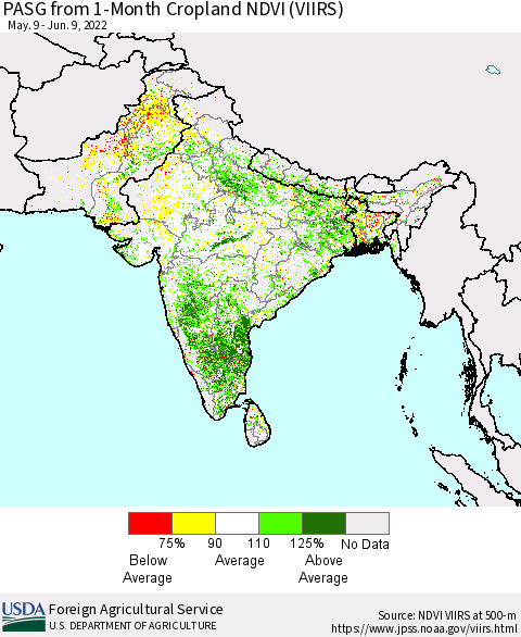 Southern Asia PASG from 1-Month Cropland NDVI (VIIRS) Thematic Map For 6/1/2022 - 6/10/2022