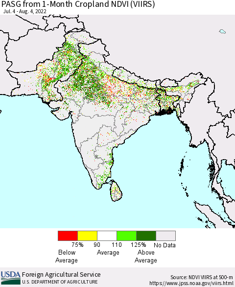 Southern Asia PASG from 1-Month Cropland NDVI (VIIRS) Thematic Map For 8/1/2022 - 8/10/2022