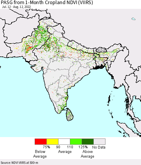 Southern Asia PASG from 1-Month Cropland NDVI (VIIRS) Thematic Map For 8/5/2022 - 8/12/2022