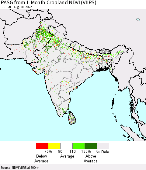 Southern Asia PASG from 1-Month Cropland NDVI (VIIRS) Thematic Map For 8/21/2022 - 8/28/2022