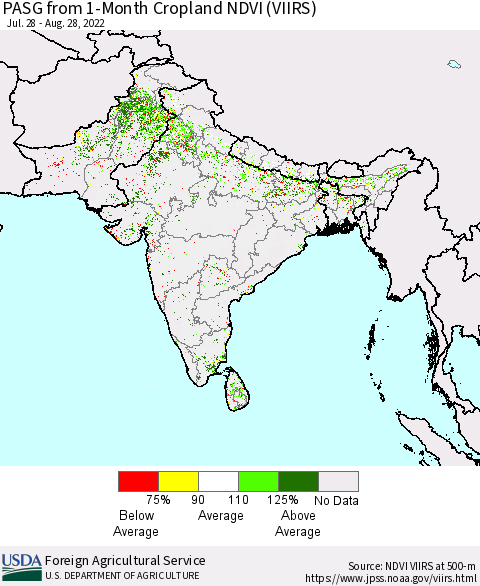 Southern Asia PASG from 1-Month Cropland NDVI (VIIRS) Thematic Map For 8/21/2022 - 8/31/2022
