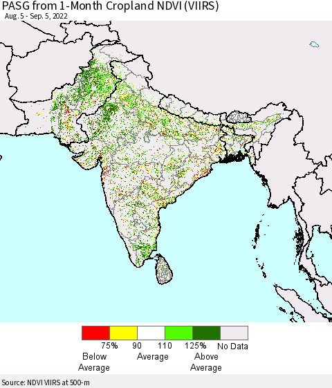Southern Asia PASG from 1-Month Cropland NDVI (VIIRS) Thematic Map For 8/29/2022 - 9/5/2022
