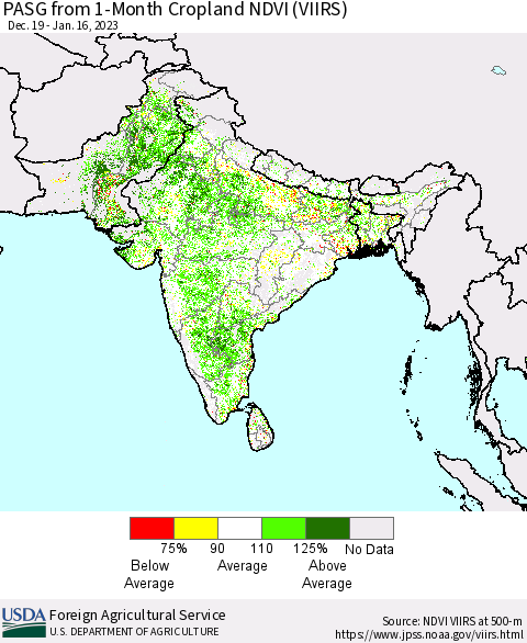 Southern Asia PASG from 1-Month Cropland NDVI (VIIRS) Thematic Map For 1/11/2023 - 1/20/2023