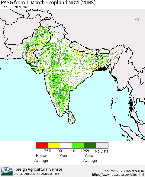 Southern Asia PASG from 1-Month Cropland NDVI (VIIRS) Thematic Map For 2/1/2023 - 2/10/2023