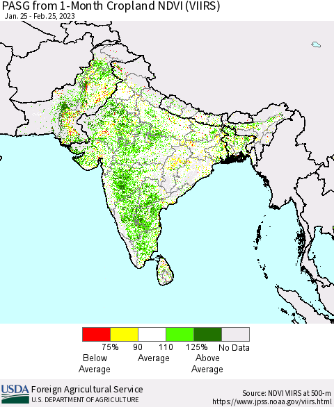 Southern Asia PASG from 1-Month Cropland NDVI (VIIRS) Thematic Map For 2/21/2023 - 2/28/2023
