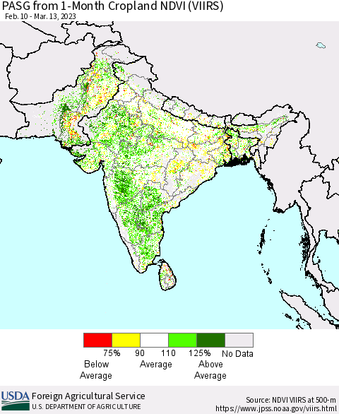 Southern Asia PASG from 1-Month Cropland NDVI (VIIRS) Thematic Map For 3/11/2023 - 3/20/2023