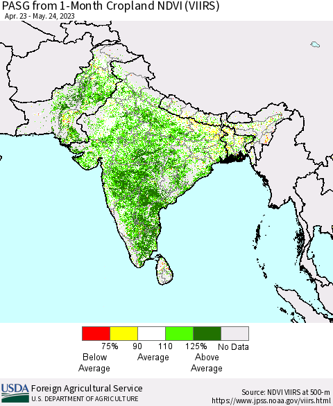Southern Asia PASG from 1-Month Cropland NDVI (VIIRS) Thematic Map For 5/21/2023 - 5/31/2023