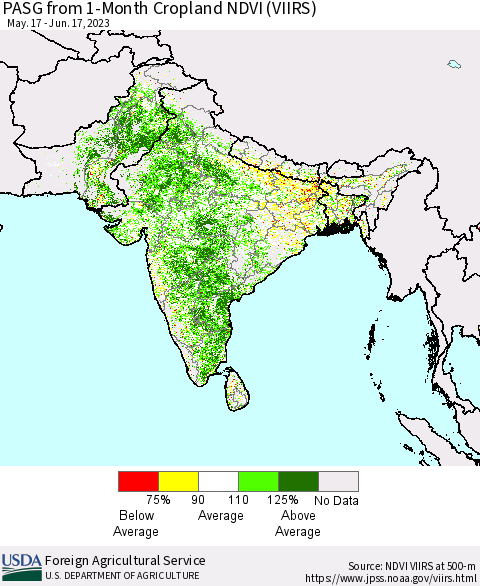 Southern Asia PASG from 1-Month Cropland NDVI (VIIRS) Thematic Map For 6/11/2023 - 6/20/2023