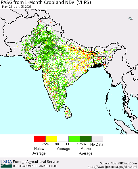 Southern Asia PASG from 1-Month Cropland NDVI (VIIRS) Thematic Map For 6/21/2023 - 6/30/2023