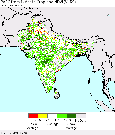 Southern Asia PASG from 1-Month Cropland NDVI (VIIRS) Thematic Map For 2/2/2024 - 2/9/2024