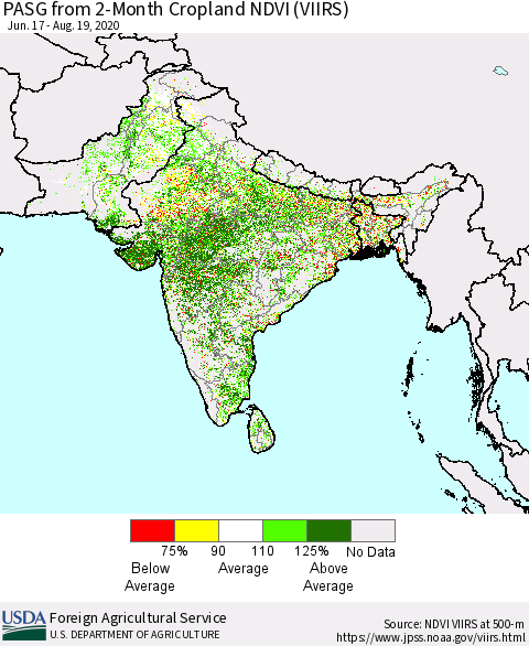 Southern Asia PASG from 2-Month Cropland NDVI (VIIRS) Thematic Map For 8/11/2020 - 8/20/2020