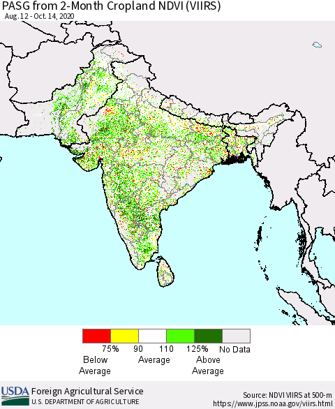 Southern Asia PASG from 2-Month Cropland NDVI (VIIRS) Thematic Map For 10/11/2020 - 10/20/2020