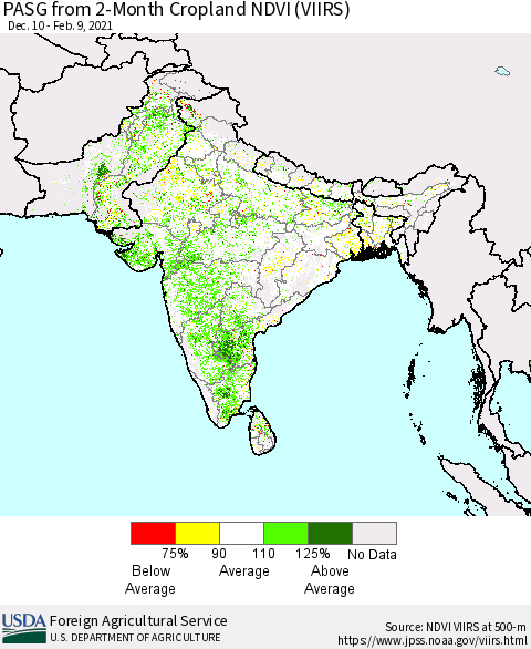 Southern Asia PASG from 2-Month Cropland NDVI (VIIRS) Thematic Map For 2/1/2021 - 2/10/2021