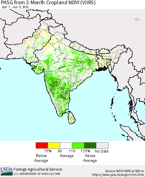 Southern Asia PASG from 2-Month Cropland NDVI (VIIRS) Thematic Map For 6/1/2021 - 6/10/2021