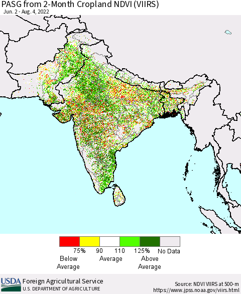 Southern Asia PASG from 2-Month Cropland NDVI (VIIRS) Thematic Map For 8/1/2022 - 8/10/2022