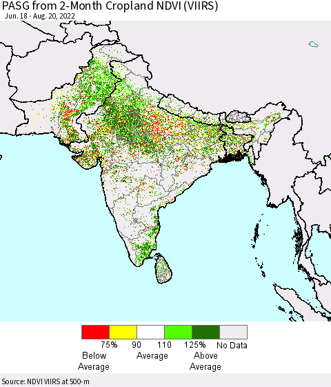 Southern Asia PASG from 2-Month Cropland NDVI (VIIRS) Thematic Map For 8/11/2022 - 8/20/2022