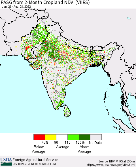 Southern Asia PASG from 2-Month Cropland NDVI (VIIRS) Thematic Map For 8/21/2022 - 8/31/2022