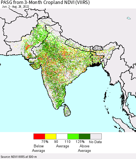 Southern Asia PASG from 3-Month Cropland NDVI (VIIRS) Thematic Map For 8/21/2022 - 8/28/2022
