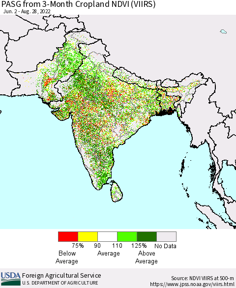 Southern Asia PASG from 3-Month Cropland NDVI (VIIRS) Thematic Map For 8/21/2022 - 8/31/2022