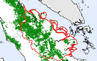 Riau