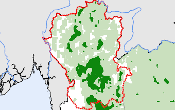 Northern